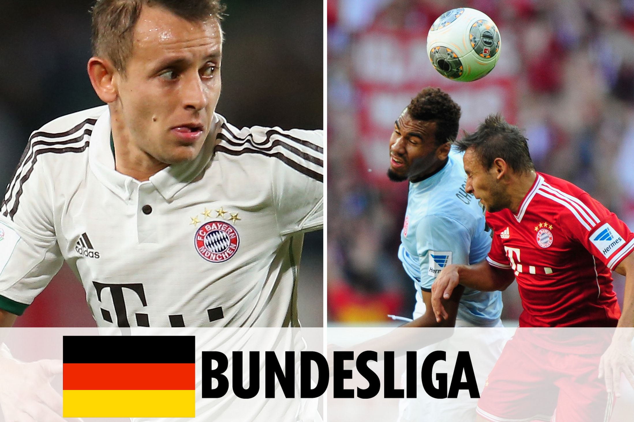 态并积极适 态并积极适