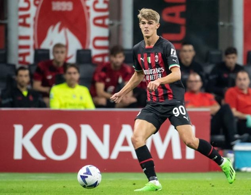 与惊人的篮 与惊人的篮